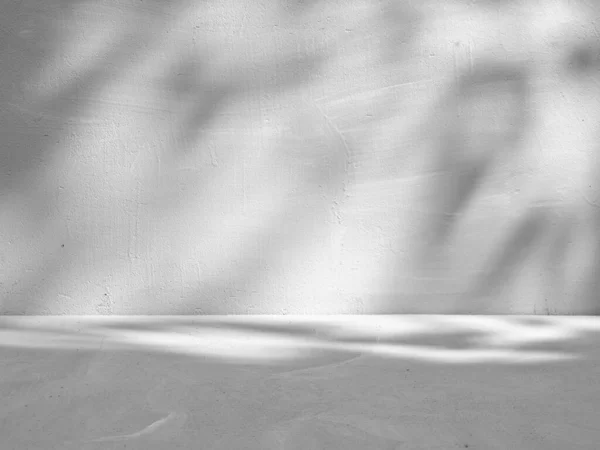Серый Бетонный Фон Презентации Продукта Естественным Освещением — стоковое фото