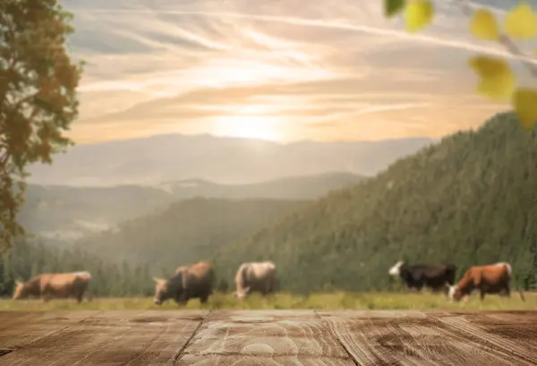 Pôr Sol Sobre Paisagem Pastoral Com Vacas Mesa Madeira Fotos De Bancos De Imagens