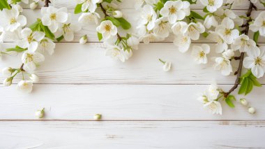 Bahar mevsiminde kiraz çiçekleri beyazlatılmış odunlara yayılır. Rahat Japon ahenginin bir görüntüsü..