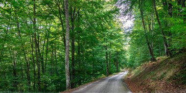 Hozarco Dağı 'nın mitolojik yolu. Cantabria 'da. İspanya.