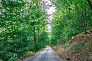 Hozarco Dağı 'nın mitolojik yolu. Cantabria 'da. İspanya.
