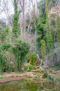 Fuentetoba Toba 'sı. Özür dilerim. İspanya.