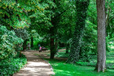 Madrid Haziran 2023. Campo del Moro Bahçeleri.