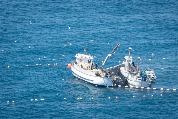 stock image May 2024. Almadraba Fishing in La Azohia, Murcia. Spain.