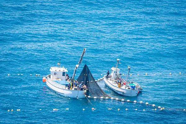 stock image May 2024. Almadraba Fishing in La Azohia, Murcia. Spain.