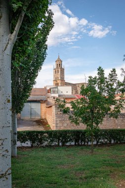 Santa Maria del Campo Koleji Kilisesi. Burgos, İspanya.