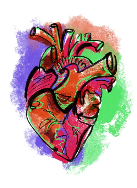 Абстрактное Современное Яркое Анатомическое Сердце Изолированный Плакат Органному Искусству Внеочередные — стоковое фото