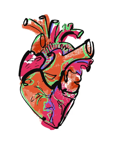Абстрактное Современное Яркое Анатомическое Сердце Плакат Векторного Искусства Изоляцией Органов — стоковый вектор
