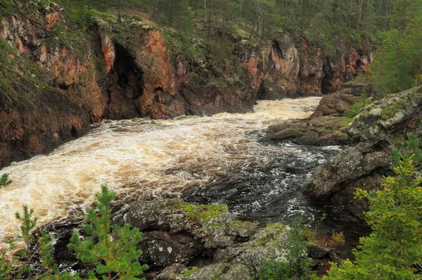 Rio Wild Kiutakongas Parque Nacional Oulanka Finlândia Dia Verão Nublado — Fotografia de Stock