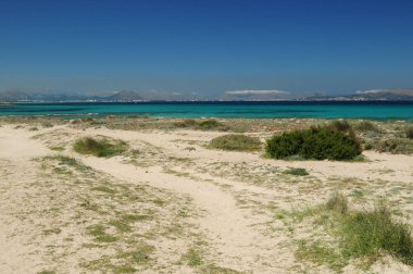 Beautiful Untouched Beach In Can Picafort Mallorca On A Wonderful Sunny Spring Day With A Clear Blue Sky clipart