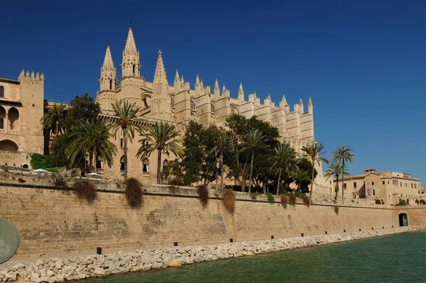 Katedralen Seu Palma Mallorca Underbar Solig Vår Europa Med Klarblå Stockfoto