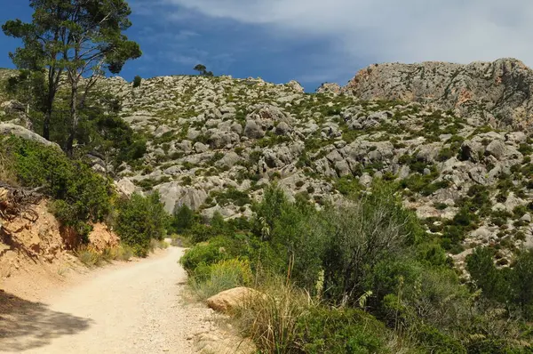 Trail Trapa Monastery Mallorca Wonderful Sunny Spring Day Few Clouds Royalty Free Stock Images