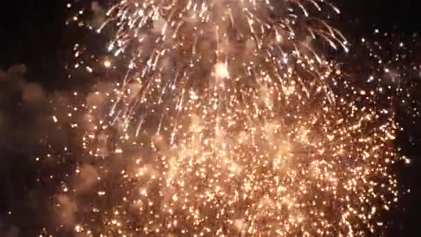 Silvesterfeuerwerk Feiert Echtes Feuerwerk Hintergrund Golden Multicolor Abstract Glühende Glühende — Stockvideo