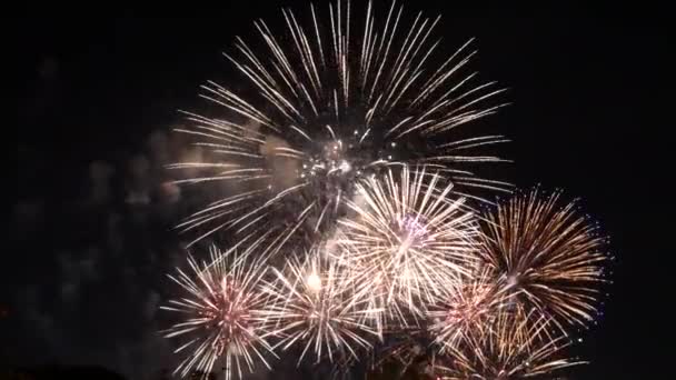 New Year Eve Fireworks Святкує Real Fireworks Background Golden Multicolor — стокове відео