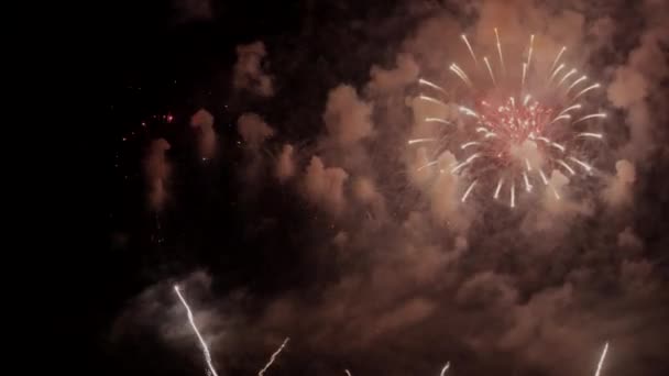 Silvesterfeuerwerk Feiert Echtes Feuerwerk Hintergrund Golden Multicolor Abstract Glühende Glühende — Stockvideo