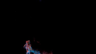 Renklerin sihirli karışımı. Suyun içindeki ipeksi mürekkep bulutu siyah arkaplanda izole edilmiş.