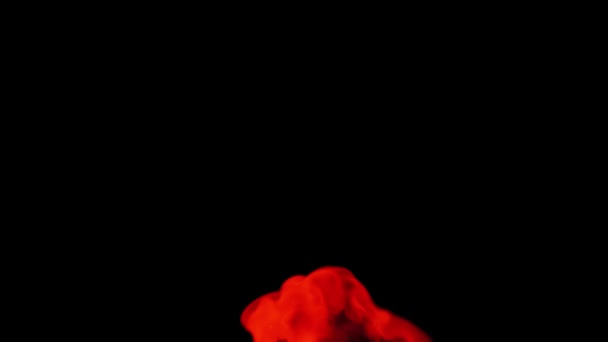 Чарівне Змішування Кольору Хмара Шовковистого Чорнила Воді Ізольована Чорному Тлі — стокове відео