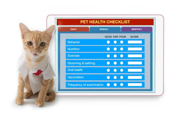 スタジオショットの小さな猫を身に着けている医師の衣装で座っているデジタルタブレットペットの健康チェックリストアプリケーションを示す画面上 — ストック写真