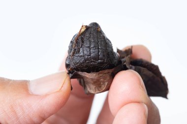 Kapalı kapılar ardında siyah sarımsak kabuğu tutan birinin resmi..