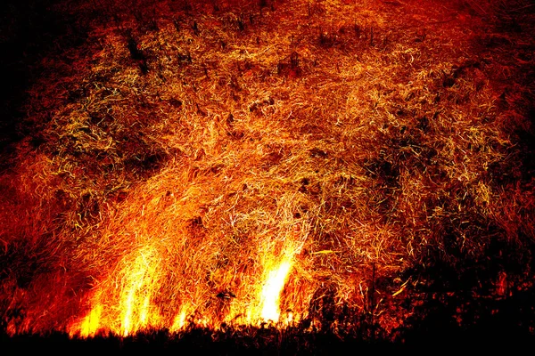 Retuschera Bilden Den Brinnande Elden Visar Värmen Intensiva Lågor Aska — Stockfoto