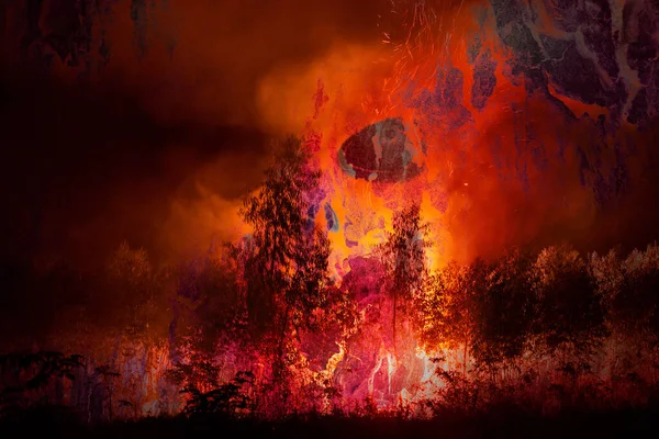 炎と煙の中に頭蓋骨の影が現れ 森を燃やしていました ストック画像