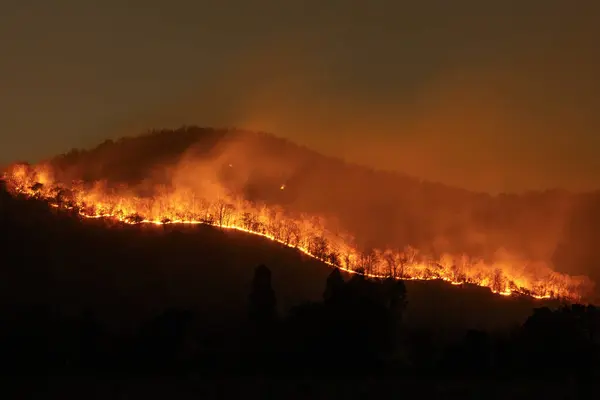Fires burned in a straight line along the hillside at night, turning the entire area red like hot flames.