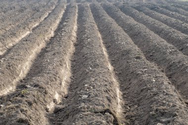 Tarım için arazi hazırlığı, uzun sıralarda suyu boşaltmak için hendek ya da toprak setleri yapmayı içeriyor.