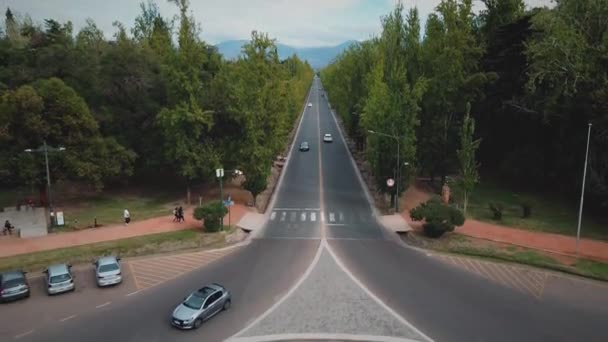 アルゼンチンのメンドーサにあるパークサンマーティンの中心部を横断する直線道路 ドローンビュー モーションを上げる — ストック動画