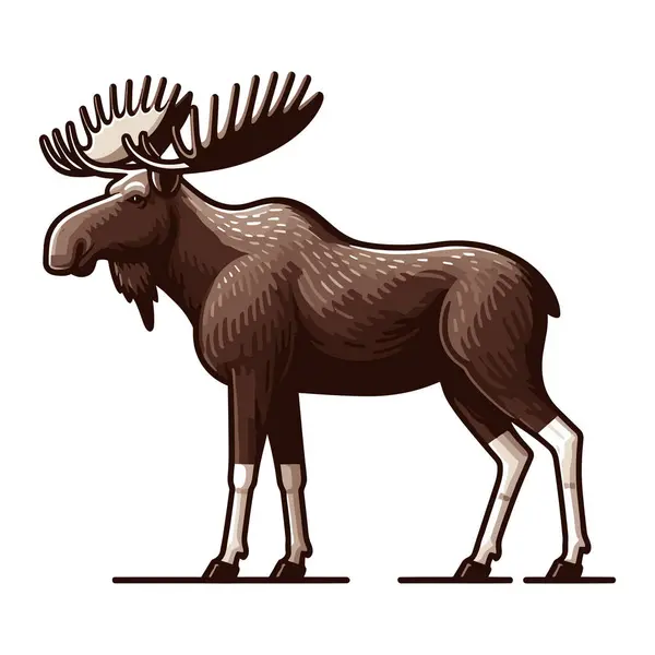 Moose Buck Elk Full Body Vector Illustration Zoology Illustration Wild Royalty Free Stock Vectors