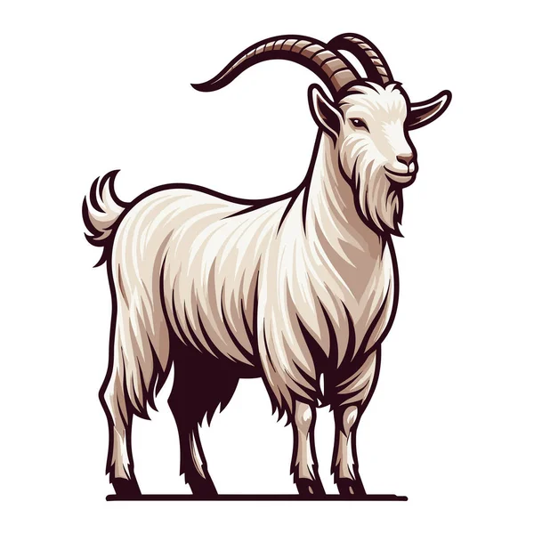 Goat Full Body Vector Illustration Farm Pet Animal Livestock Butchery Royalty Free Stock Vectors