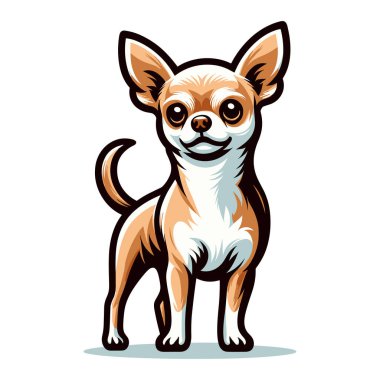 Şirin bir chihuahua köpeği tüm vücudu düz tasarım çizimi, safkan chihuahua köpeciği, beyaz arka planda izole edilmiş sevimli hayvan vektör şablonu.