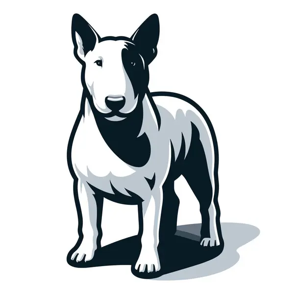 Bull Terrier Hund Full Kropp Design Illustration Stående Renrasiga Hund Royaltyfria illustrationer