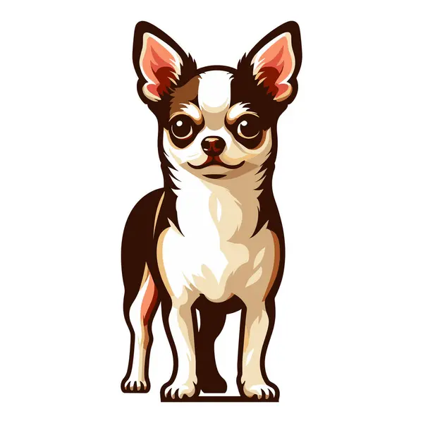 Söt Chihuahua Hund Full Kropp Platt Design Illustration Stående Renrasiga Royaltyfria illustrationer