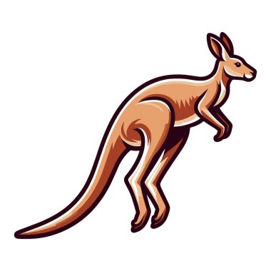 Kangaroo full body vector illustration, Australian mammal animal mascot character, wildlife zoology illustration. Design template isolated on white background  clipart