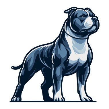 Pitbull Bulldog tüm vücut tasarımı çizimi ayakta duran bir hayvan pitbull teriyerinin tam boy portresi. Beyaz arkaplanda vektör şablonu izole edildi 