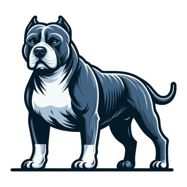 Pitbull Bulldog tüm vücut tasarımı çizimi ayakta duran bir hayvan pitbull teriyerinin tam boy portresi. Beyaz arkaplanda vektör şablonu izole edildi 