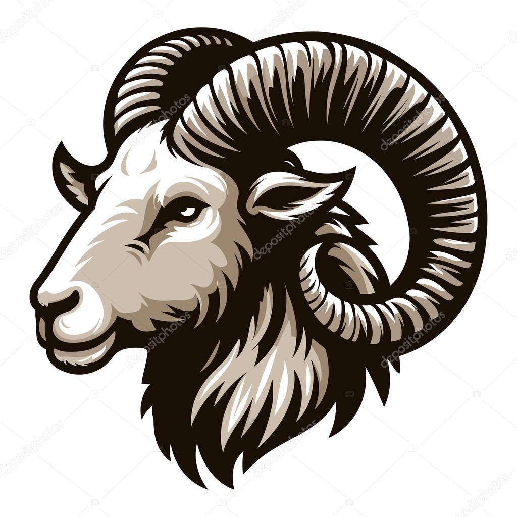 Bighorn horned ram sheep head face vector illustration, farm pet, animal livestock, butchery meat shop element, agriculture concept, design isolated on white background