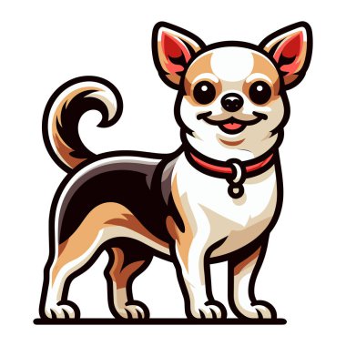 Şirin chihuahua köpeği tüm vücut vektör illüstrasyonu, komik sevimli hayvan, beyaz arka planda izole edilmiş safkan chihuahua köpek tasarımı şablonu