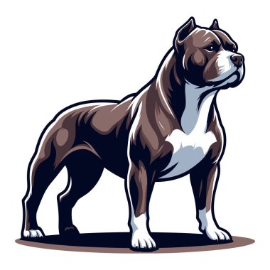 Pitbull Bulldog tüm vücut tasarımı çizimi ayakta duran bir hayvan pitbull teriyerinin tam boy portresi. Beyaz arkaplanda vektör şablonu izole edildi 