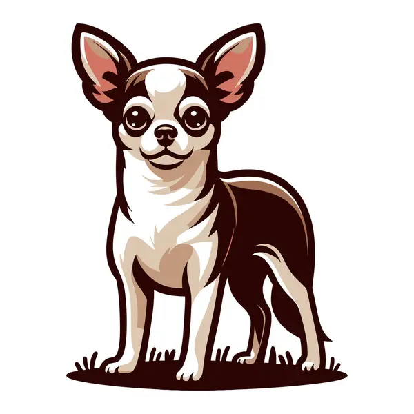Söt Chihuahua Hund Full Kropp Vektor Illustration Rolig Bedårande Sällskapsdjur Royaltyfria Stockvektorer