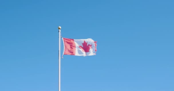 Флаг Канады Размахивающий Воздушными Кадрами Флаг Канады Развевающийся Небе Воздушный — стоковое видео