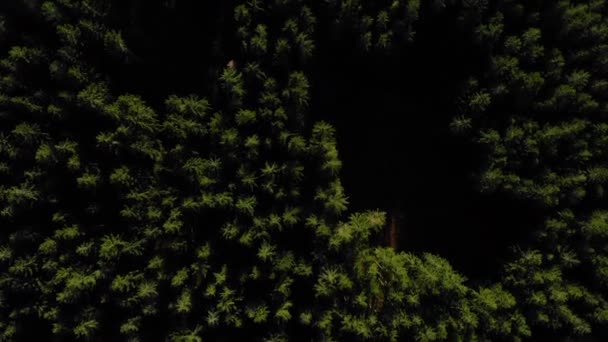 Niesamowita Sceneria Górska Vosges Filmiki Gór Wogezów Atrakcje Turystyczne Góry — Wideo stockowe
