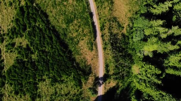 Mont Dore Hava Görüntüleri Belgesel Yapımcıları Havadan Dağ Çekimleri Seyahat — Stok video