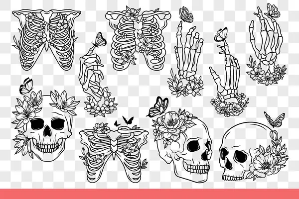 stock vector Human skeleton and bones with skulls are decorated with flowers and disassembled into body parts. Dead man skeleton for studying anatomy or designing halloween cards. Hand drawn doodle