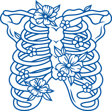 Anatomik örnekleme için kaburga kemikleri ve omurgası olan merhumun iskeleti.