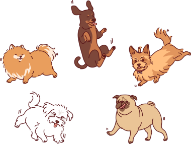 Farklı cinsten köpekler ve yavrular, konsept veterinerlik kliniği için çeşitli duygularla havada uçarlar.