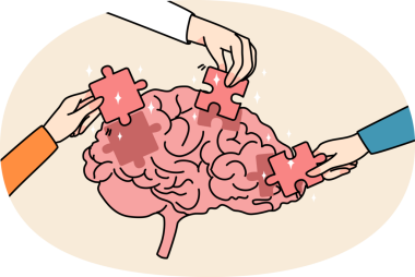 İnsanlar beyne yapboz yapar.