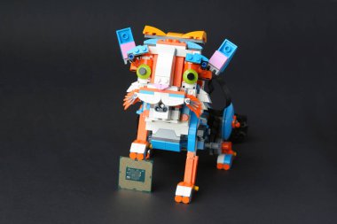 Robot kedi tutma, ön pati, bilgisayar işlemcisi