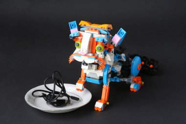  Robot kedi bir tabağı elektronik yiyecekle hareket ettiriyor.