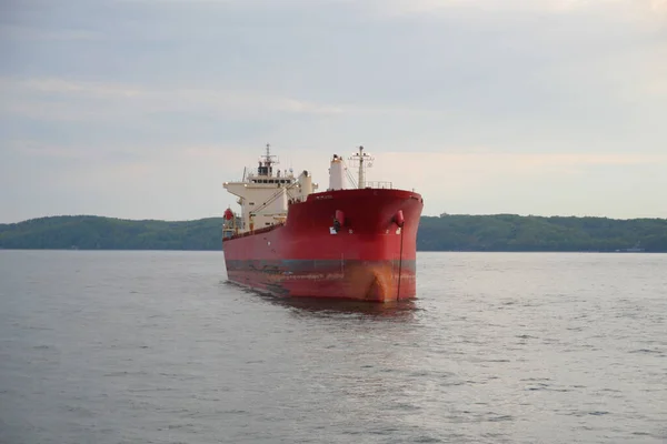 Grote Rode Bulkcarrier Vrachtschip Die Oostzee Vaart — Stockfoto